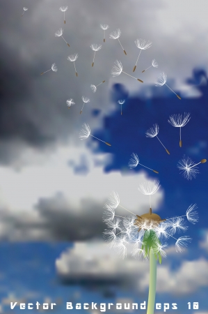 dandelion with flying seeds on cloudy skyのイラスト素材