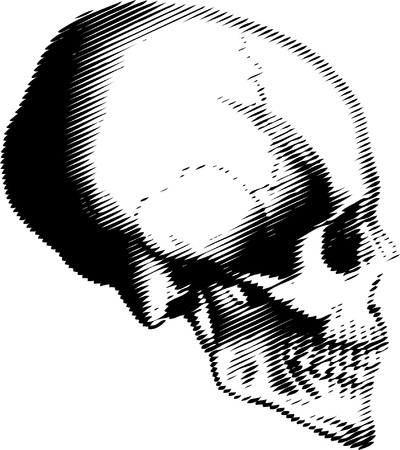 simple illustration with black and white skull, best for silk-print on t-shirt or some other usageのイラスト素材