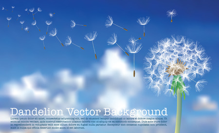dandelion with flying seeds on cloudy skyのイラスト素材