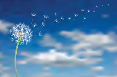 dandelion seeds fly in sky, vector illustrationのイラスト素材