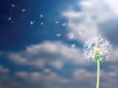 vector dandelion with flying seeds on cloudy sky, symbolic backgroundのイラスト素材
