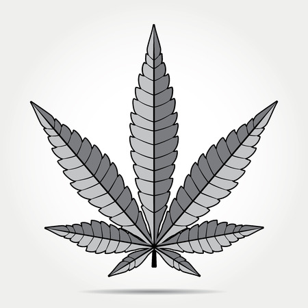Cannabis marijuana hemp, leaf flat icon, vector gray medicine weed, vector herbのイラスト素材