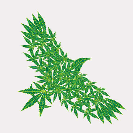 vector illustration of flying eagle with marijuana leavesのイラスト素材