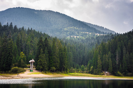 Legendary Synevyr lake in Summer. Unique lake on top of the mountain with tall spruce trees. Ukraine Carpathian Mountainsの写真素材