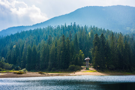 Legendary Synevyr lake in Summer. Unique lake on top of the mountain with tall spruce trees. Ukraine Carpathian Mountainsの写真素材
