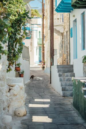 Narrow street paved with stones with tiny houses, stairs, balconies, plants and flowers at the Nisyros island, Greece. Street greek cats walking around.の写真素材