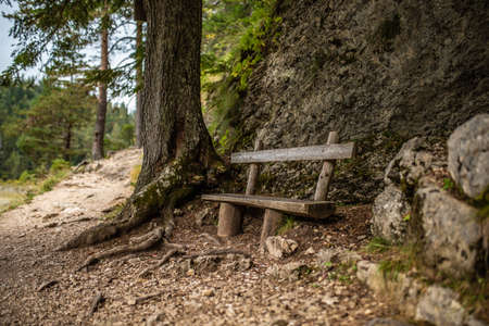 Wooden bench by the Path in the forest near Black Lake on mount Durmitor near Zabljak city in northern Montenegro.の写真素材