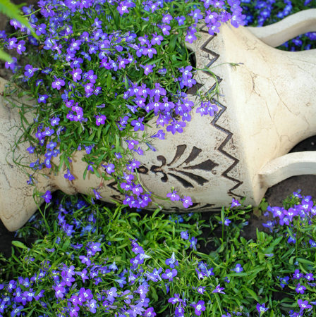 in the gardenの写真素材