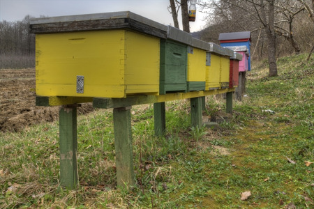Bee hives on a cloudy day