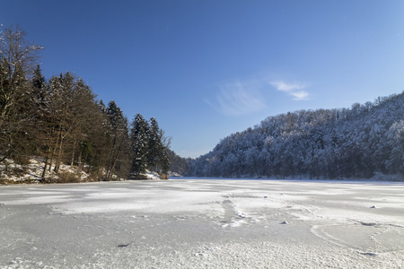 Landscape of forest in winterの写真素材
