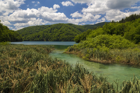 Lake in National park Plitvice,Croatiaの写真素材
