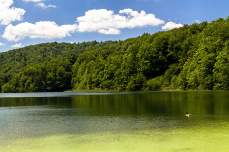 Lake in National park Plitvice,Croatiaの写真素材
