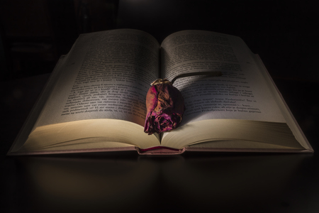 Book with a rose on a black backgroundの写真素材