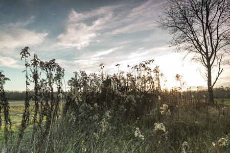 Beautiful colorful countryside sunsetの写真素材