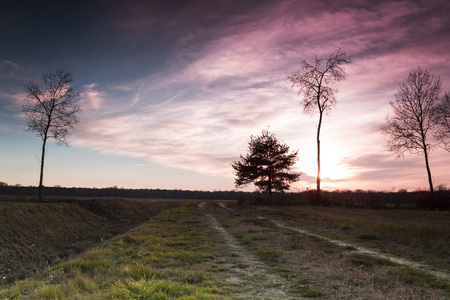Beautiful colorful countryside sunsetの写真素材