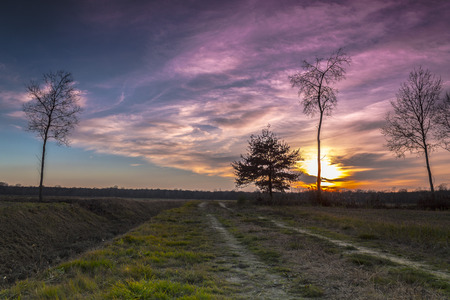 Beautiful colorful countryside sunsetの写真素材