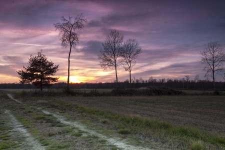 Beautiful colorful countryside sunsetの写真素材