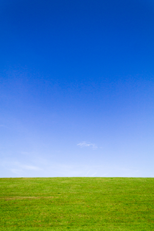 Green meadow and cloudless blue skyの写真素材