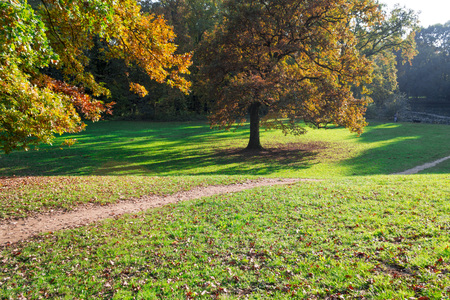 Park Maksimir in autumn,Croatiaの写真素材