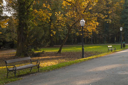 Park Maksimir in autumn,Croatiaの写真素材