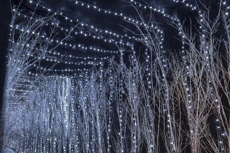 Christmas lights in a passage in Zagrebの写真素材