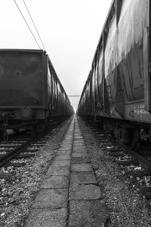 Old train wagons parked in the morning mistの写真素材