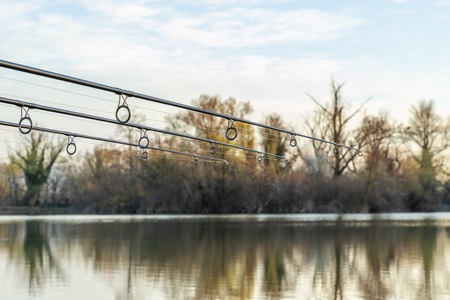 Carp fishing rods on a sunny morningの写真素材