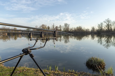 Carp fishing rods on a sunny morningの写真素材