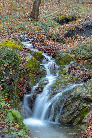 Small stream in Medvednica forest in Zagrebの写真素材