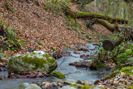 Small stream in Medvednica forest in Zagrebの写真素材