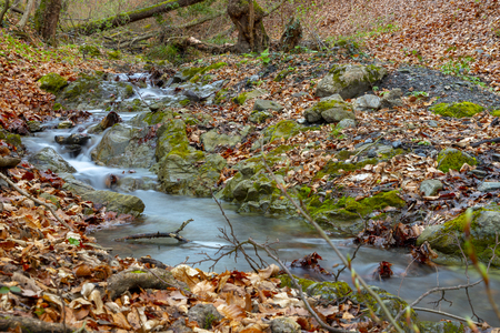 Small stream in Medvednica forest in Zagrebの写真素材