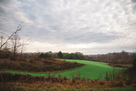 Beautiful green meadow in autumn cloudy morningの写真素材