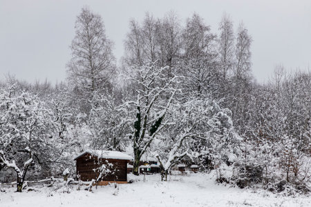 Small village in Croatia under the mountain in winterの写真素材