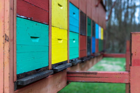 A large wooden dwelling of beehives in the fieldの写真素材