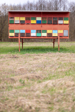 A large wooden dwelling of beehives in the fieldの写真素材