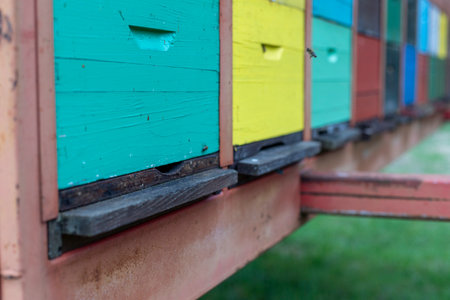 A large wooden dwelling of beehives in the fieldの写真素材