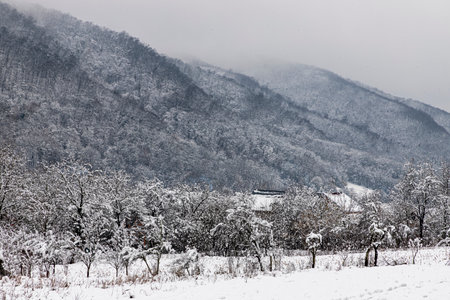 Small village in Croatia under the mountain in winterの写真素材