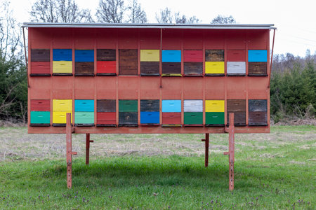 A large wooden dwelling of beehives in the fieldの写真素材