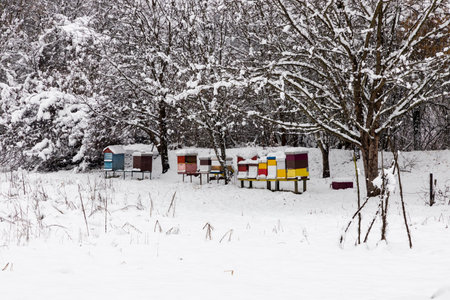 Beehives in winter covered in deep snowの写真素材