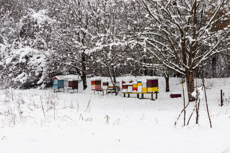 Beehives in winter covered in deep snowの写真素材