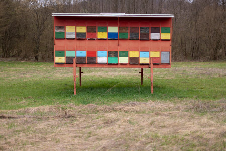 A large wooden dwelling of beehives in the fieldの写真素材