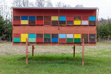 A large wooden dwelling of beehives in the fieldの写真素材