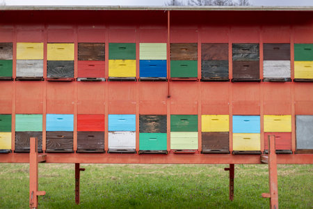 A large wooden dwelling of beehives in the fieldの写真素材