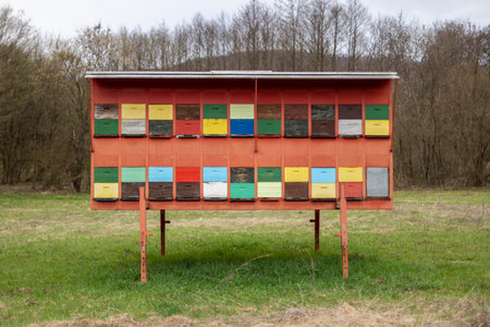 A large wooden dwelling of beehives in the fieldの写真素材
