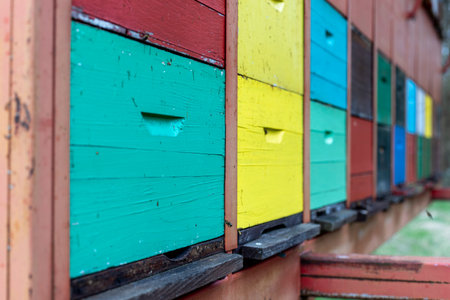 A large wooden dwelling of beehives in the fieldの写真素材