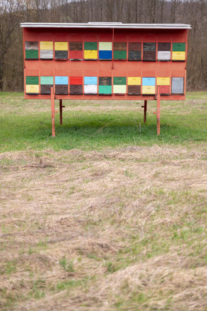 A large wooden dwelling of beehives in the fieldの写真素材