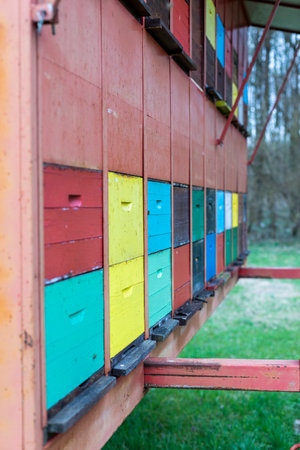 A large wooden dwelling of beehives in the fieldの写真素材