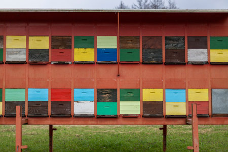 A large wooden dwelling of beehives in the fieldの写真素材