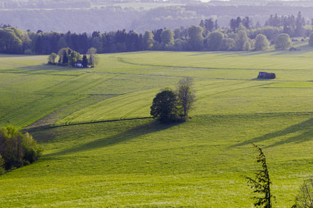 Grassy fields and trees in green rolling hills below a blue sky in the light of sunset in summer