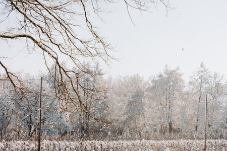 Winter idyll in the countryside at sunsetの写真素材